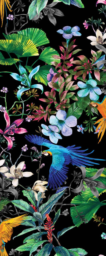 Birds of Paradise (black) Wallpaper by Miss Lolo