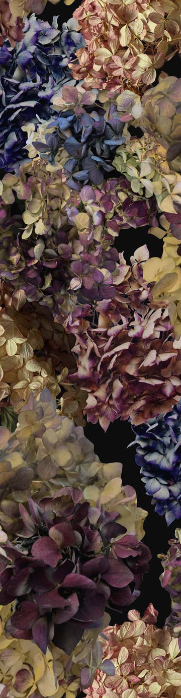 Heavenly Hydrangea Wallpaper by Miss Lolo