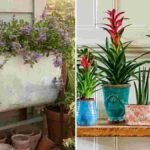 5 Everyday Household Items You Can Turn into Creative Planters