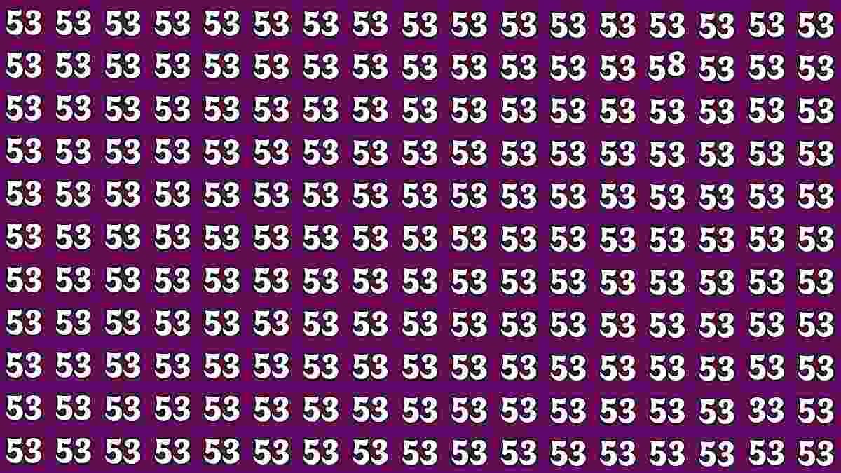 5-Second Optical Illusion: Spot the Numbers 33 and 58 Hidden Among 53s?